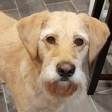 Profile photo of Cheryl 2