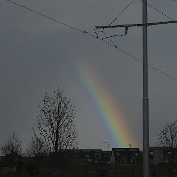 Profile photo of Nethravarsha