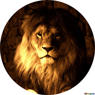 Profile photo of igo